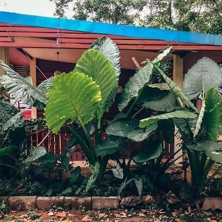 Song Pee Nong Resort Phattalung Phatthalung Buitenkant foto