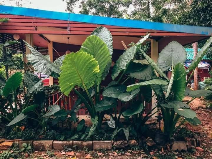 Song Pee Nong Resort Phattalung Phatthalung Buitenkant foto